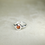 Mandarin Orange Spessartite Garnet Bezel Ring •  Directly Sourced • Natural Nigerian Spessartite • Sterling Silver